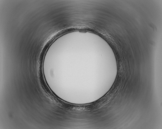 X0000113030440200909241417