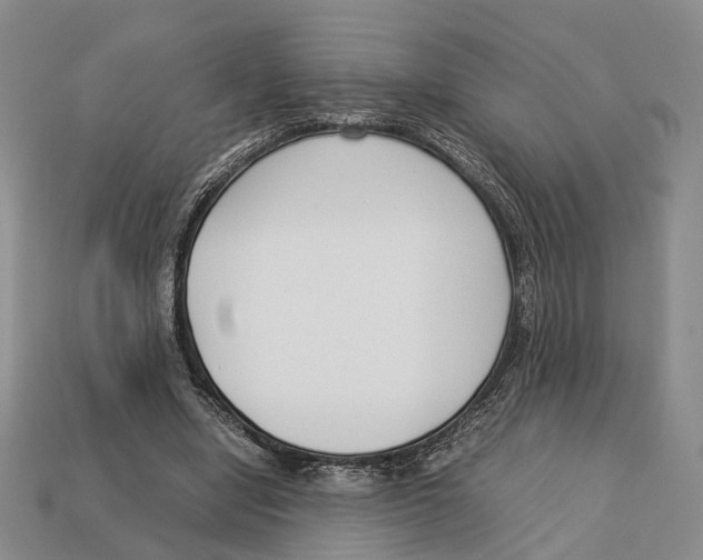 X0000113030442200909241417