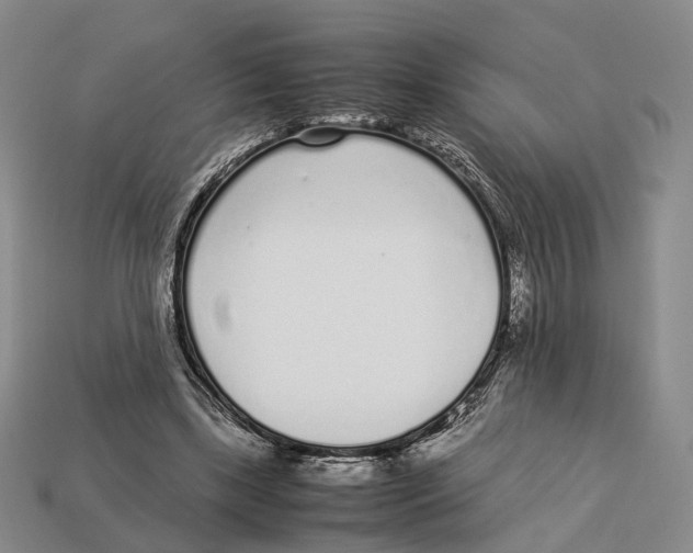 X0000113030443200909241417