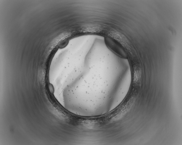 X0000113030444200909241417