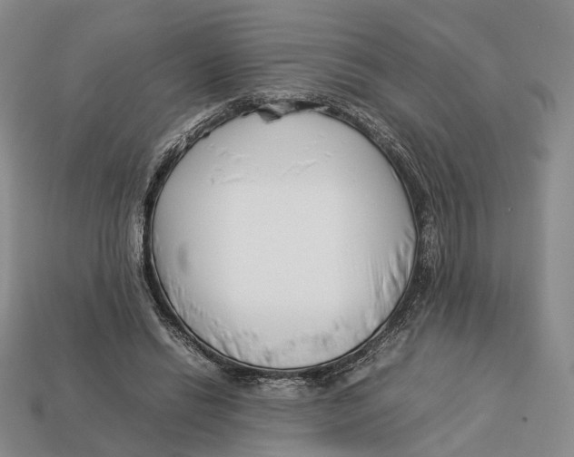 X0000113030446200909241417