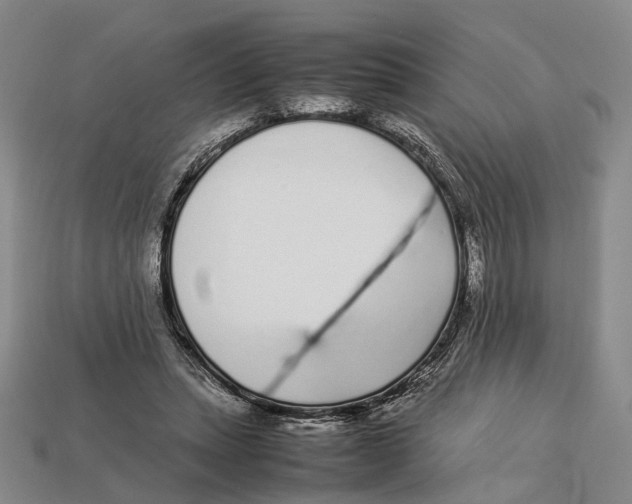 X0000113030447200909241417