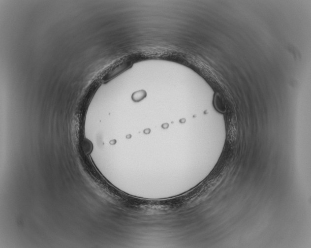 X0000113030448200909241417