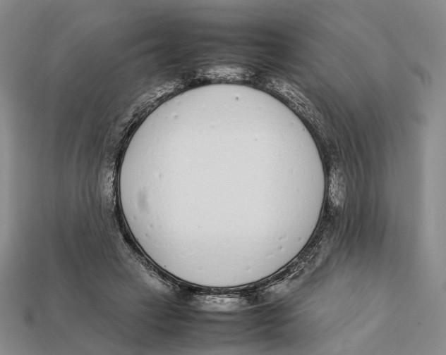 X0000113030449200909241417