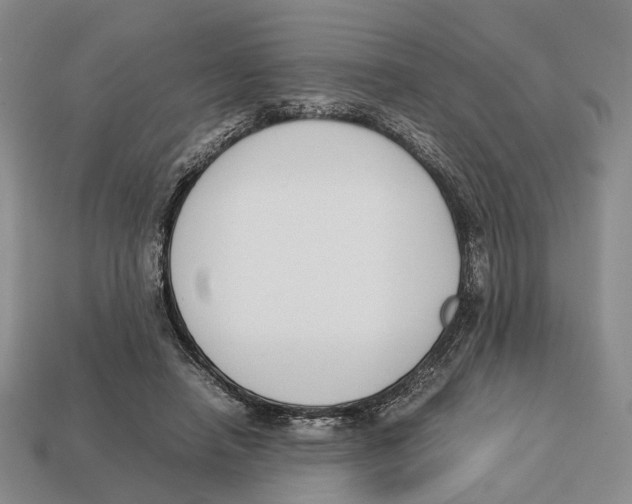 X0000113030450200909241417