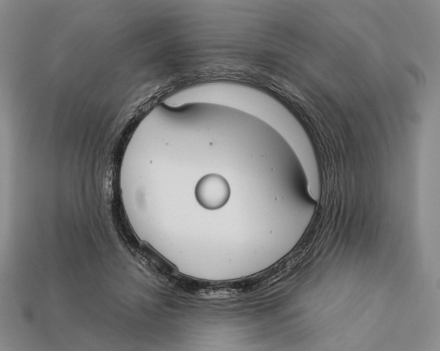 X0000113030452200909241417