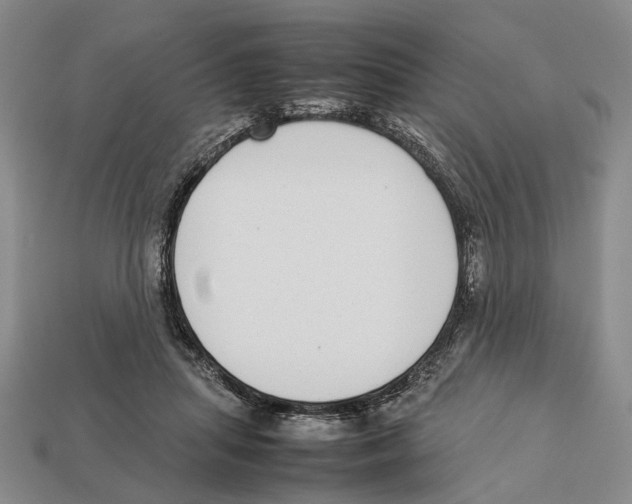 X0000113030455200909241417