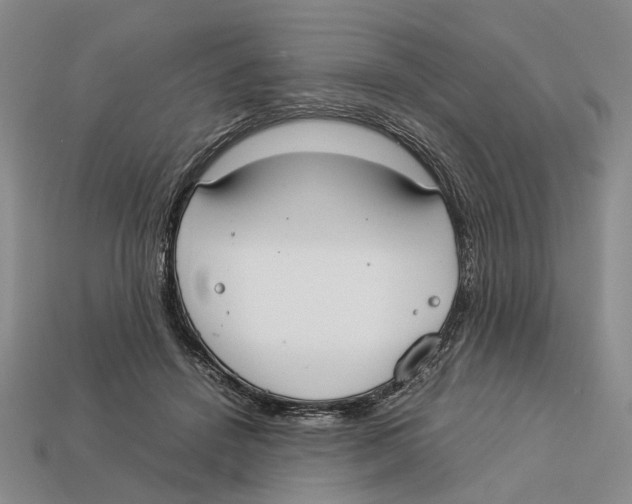 X0000113030456200909241417