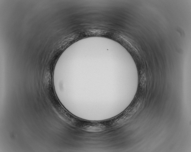 X0000113030459200909241417