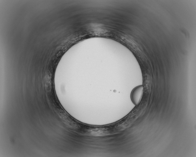 X0000113030461200909241417