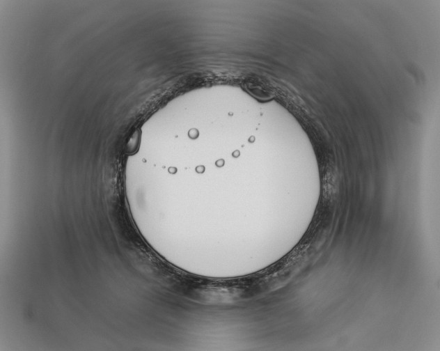 X0000113030464200909241417