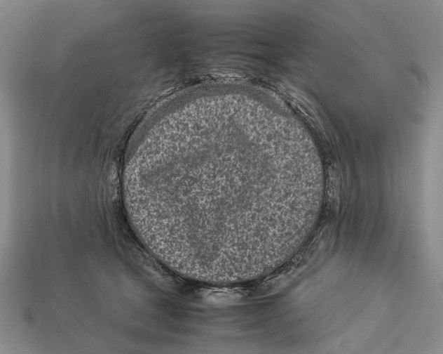 X0000113030465200909241417