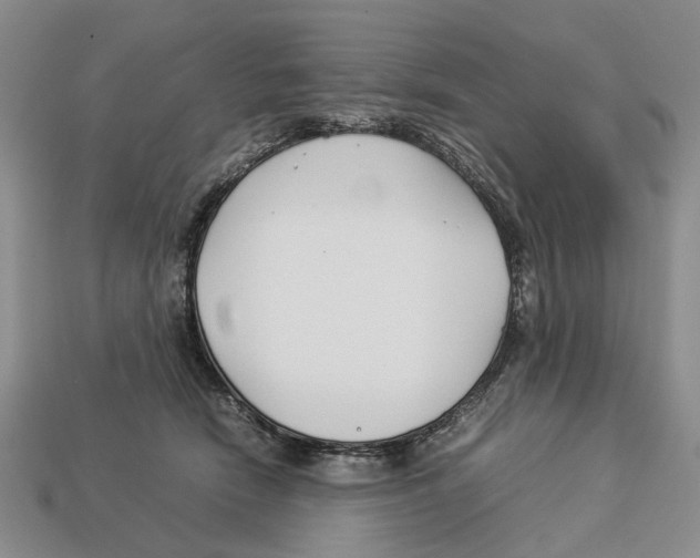 X0000113030466200909241417