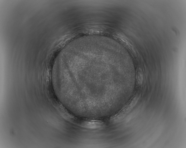 X0000113030467200909241417