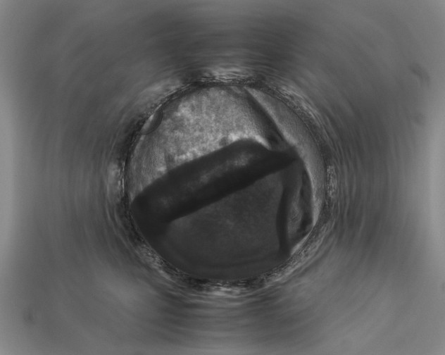 X0000113030471200909241417