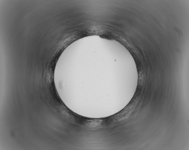 X0000113030474200909241418