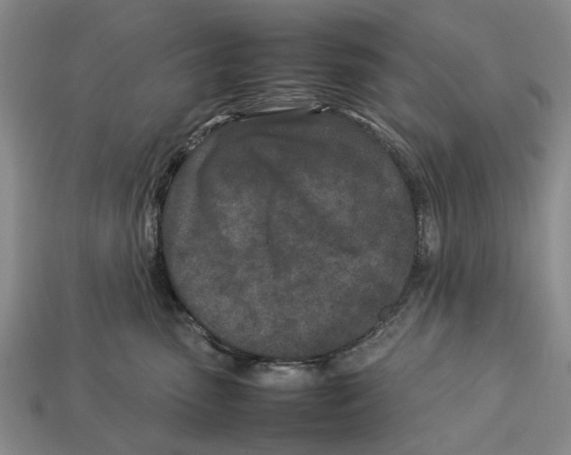 X0000113030475200909241418