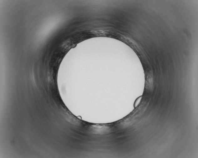 X0000113030477200909241418