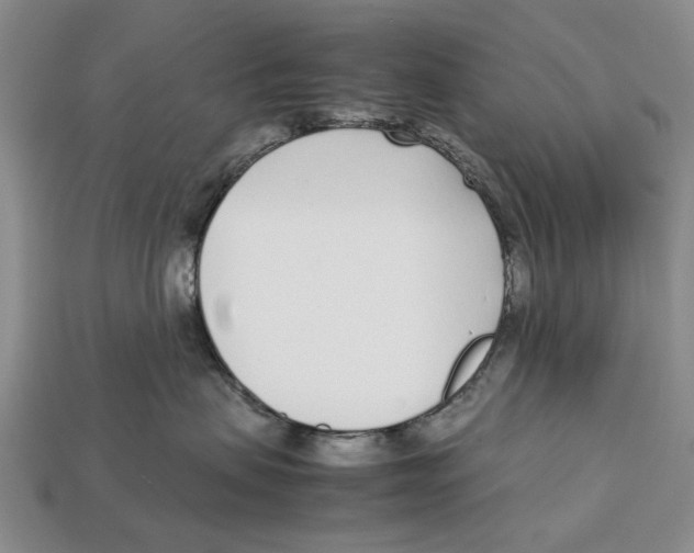 X0000113030479200909241418