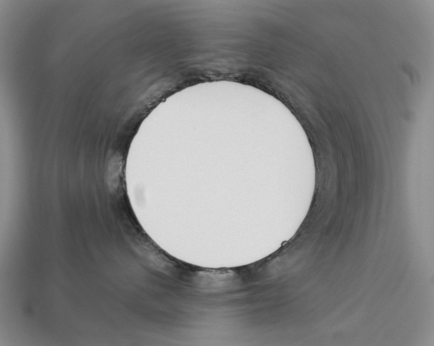 X0000113030480200909241418