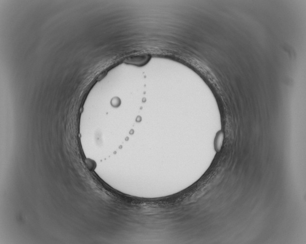 X0000113030481200909241417