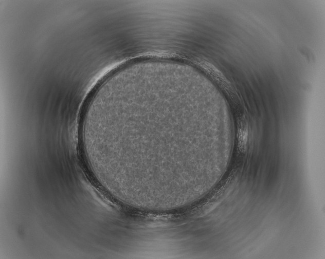 X0000113030484200909241417