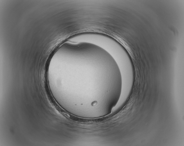 X0000113030485200909241417