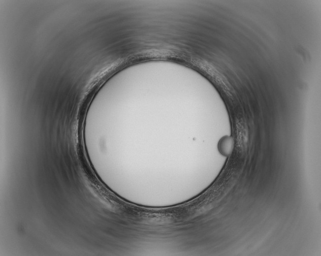 X0000113030486200909241417