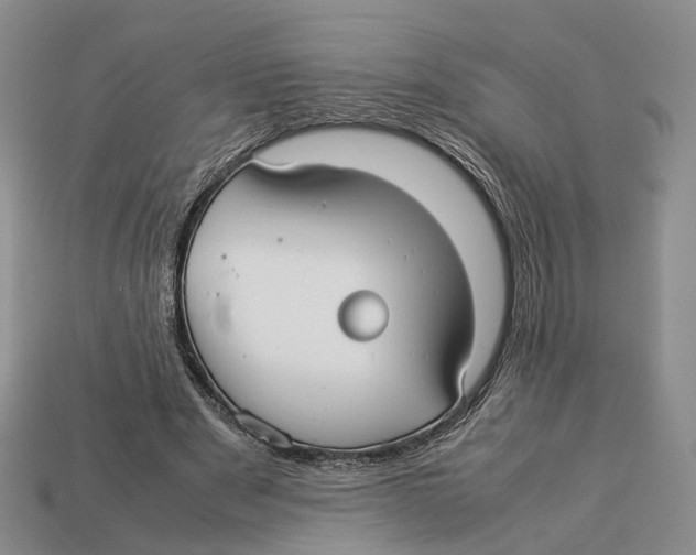 X0000113030489200909241417