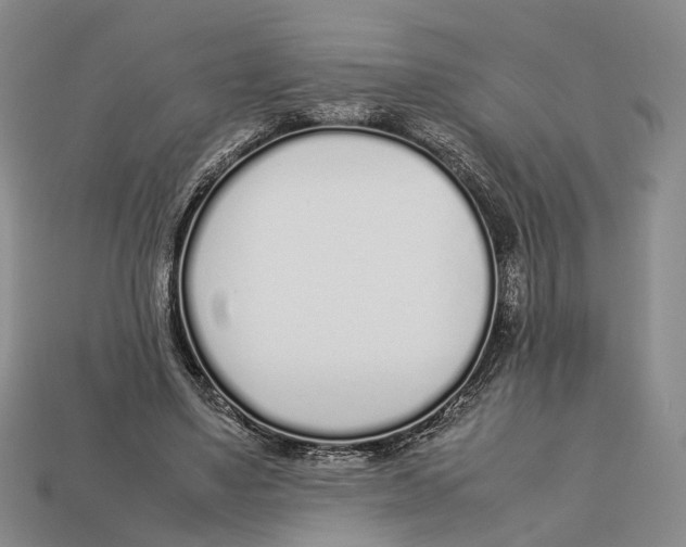 X0000113030491200909241417