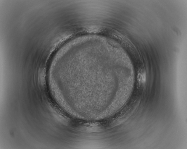 X0000113030492200909241417