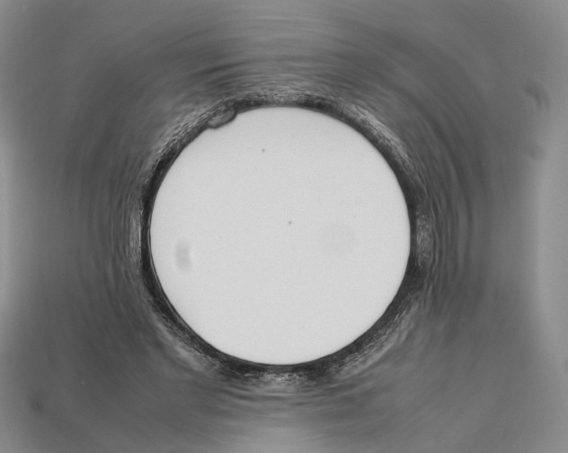 X0000113030493200909241417