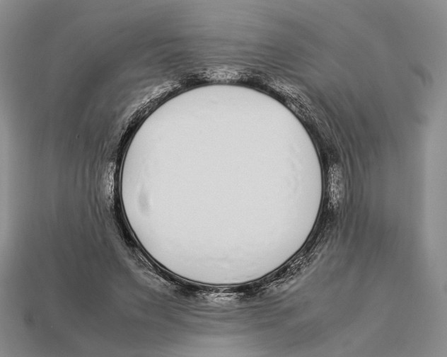 X0000113030495200909241417