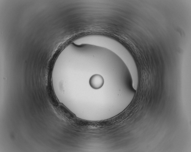 X0000113030496200909241417