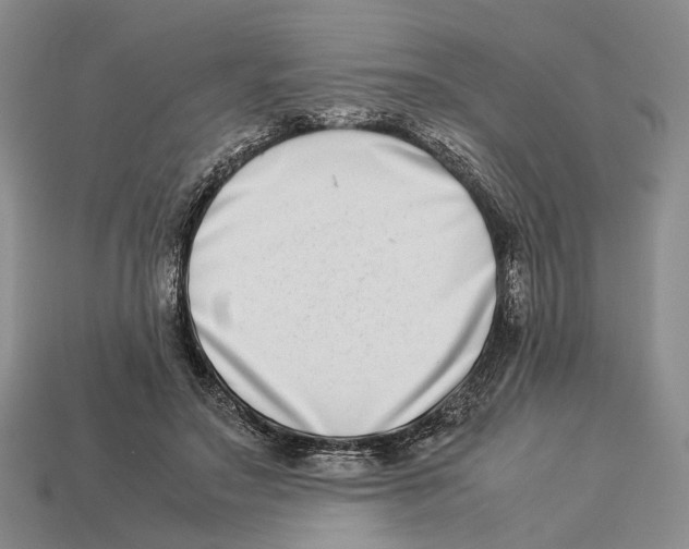 X0000113030499200909241417