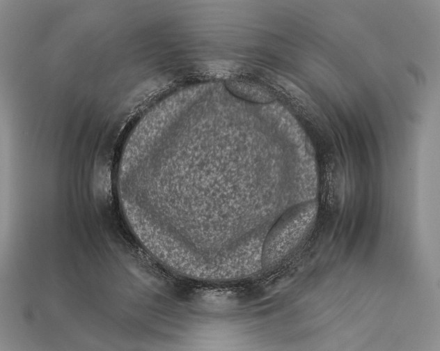 X0000113030500200909241417