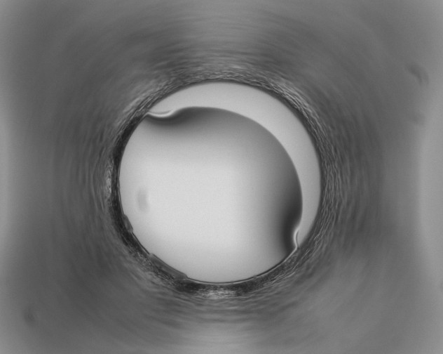 X0000113030501200909241417