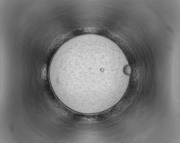 X0000113030502200909241417