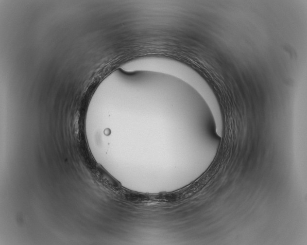 X0000113030504200909241417