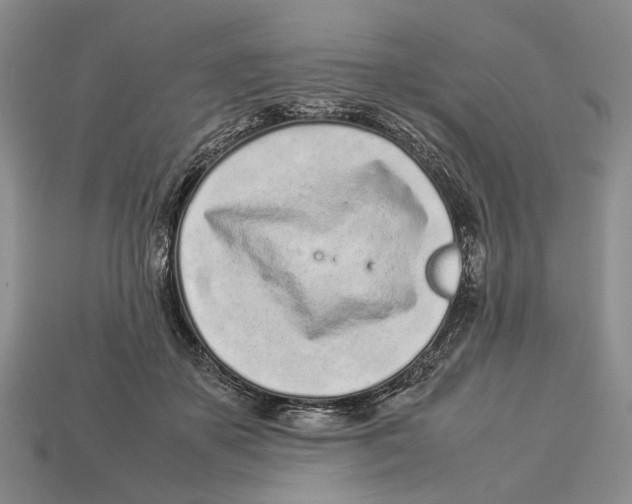 X0000113030507200909241417