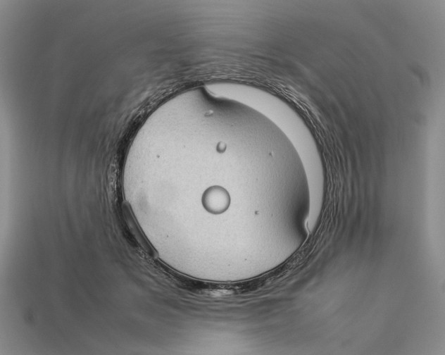 X0000113030509200909241417