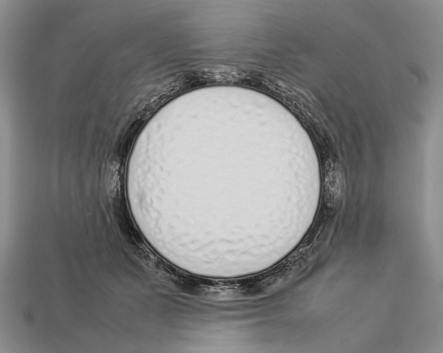 X0000113030511200909241417