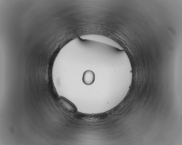 X0000113030512200909241417