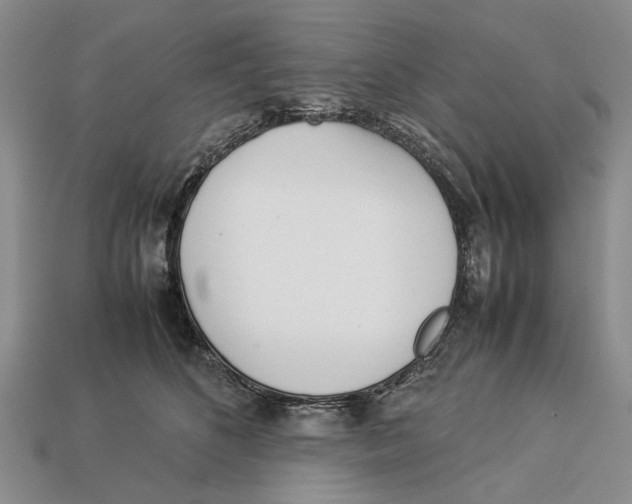 X0000113030516200909241417