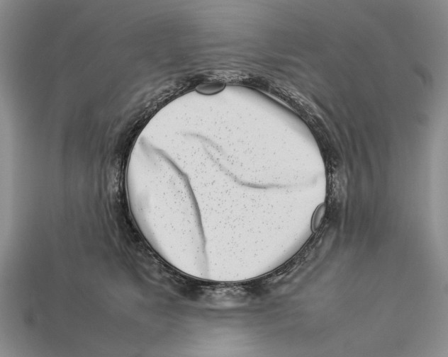 X0000113030517200909241417