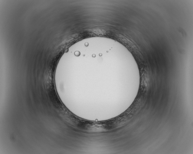 X0000113030518200909241416