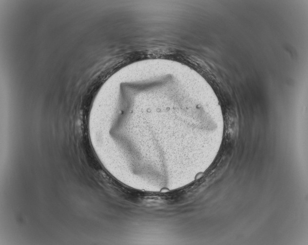 X0000113030519200909241416