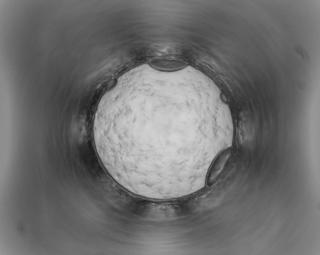 X0000113030520200909241416