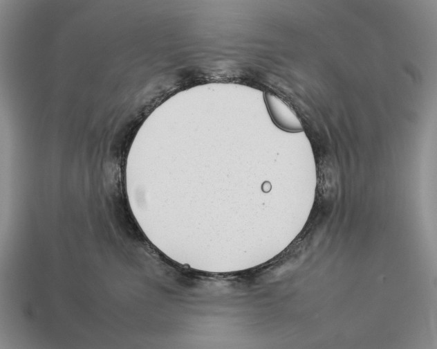 X0000113030523200909241416