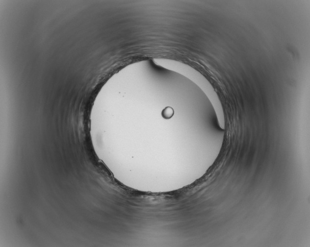 X0000113030524200909241416